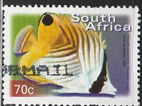 [Fauna and Flora - Fish, Tip ASP]
