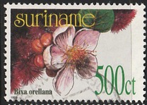 [Flora - Plants, type BHJ]