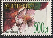 [Flora - Plants, type BHJ]