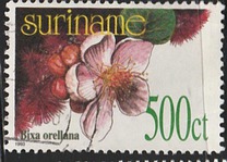 [Flora - Plants, type BHJ]