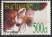 [Flora - Plants, type BHJ]