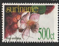 [Flora - Plants, type BHJ]