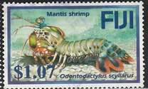 [Coral Reef Shrimps, type AKL]
