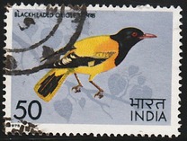 [Indian Birds, tip QF]