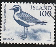 [Birds - Wren, Golden Plover and Raven, Вид MF]