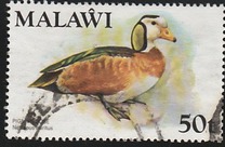 [Birds, type FZ]