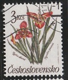 [Flowers, tip CQP]