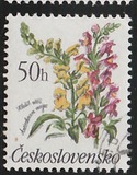[Flowers, tip CQN]