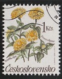 [Flowers, tip CQO]