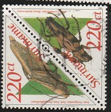 [Fauna - Insects, type BHN]