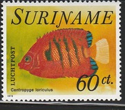 [Fish, type AGU]