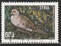 [Birds, տեսակ AOK]