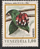 [Airmail - Flowers of Venezuela, type BRF]