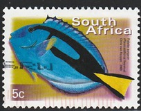 [Fauna and Flora - Fish, Tip ASO]