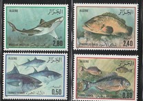 [Fish, ประเภท WD]