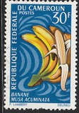 [Fruits, Tipe HI]