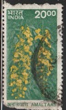 [Fauna y flora., tipo BJH]