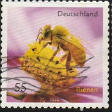 [Fauna - Bees, प्रकार CRH]