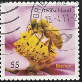[Fauna - Bees, प्रकार CRH]