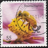[Fauna - Bees, प्रकार CRH]
