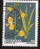 [Christmas - Orchids, type QX]