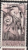 [Water Birds, type ZB]