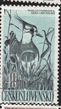 [Water Birds, type ZA]