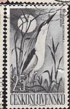 [Water Birds, type YY]