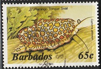 [Marine Life, tegund RU]