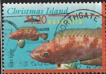 [Fish, type OZX]