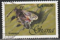 [Insects, typ BBR]