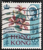 [Local Motives, type BN]