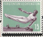 [Gymnastics, type JY]