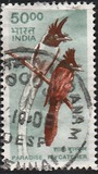 [Wildlife, type BJC]