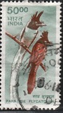 [Wildlife, type BJC]