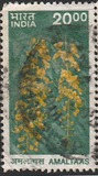 [Fauna y flora., tipo BJH]
