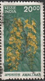 [Fauna y flora., tipo BJH]