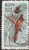 [Wildlife, type BJC]