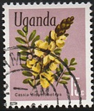 [Flowers, type AS]