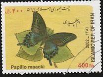[Butterflies, type DQF]