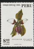 [Airmail - Peruvian Flora - Orchids, type WS]
