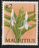 [Orchids, loại QN]