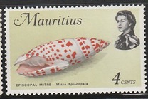 [Marine Life, ประเภท EZ]