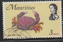 [Marine Life, ประเภท EY]