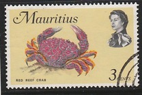 [Marine Life, ประเภท EY]