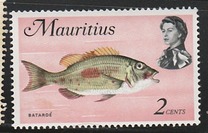 [Marine Life, ประเภท EX]