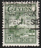 [Local Motifs, 类型 CE]