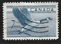 [Birds - Canada Goose, type GD]