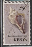 [Seashells, тып AU]