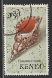 [Seashells, тып AT]